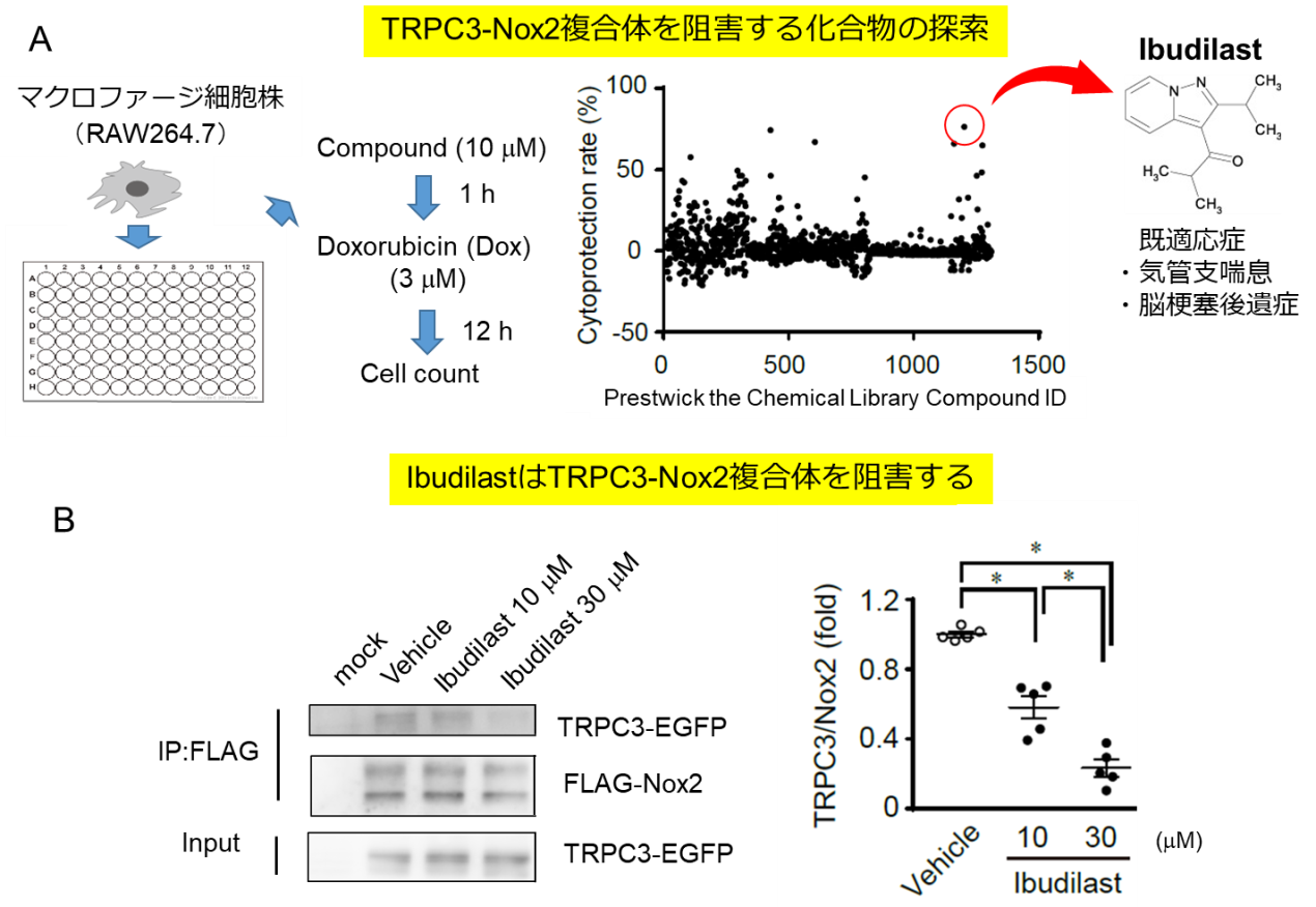 20190904nishida-1.png