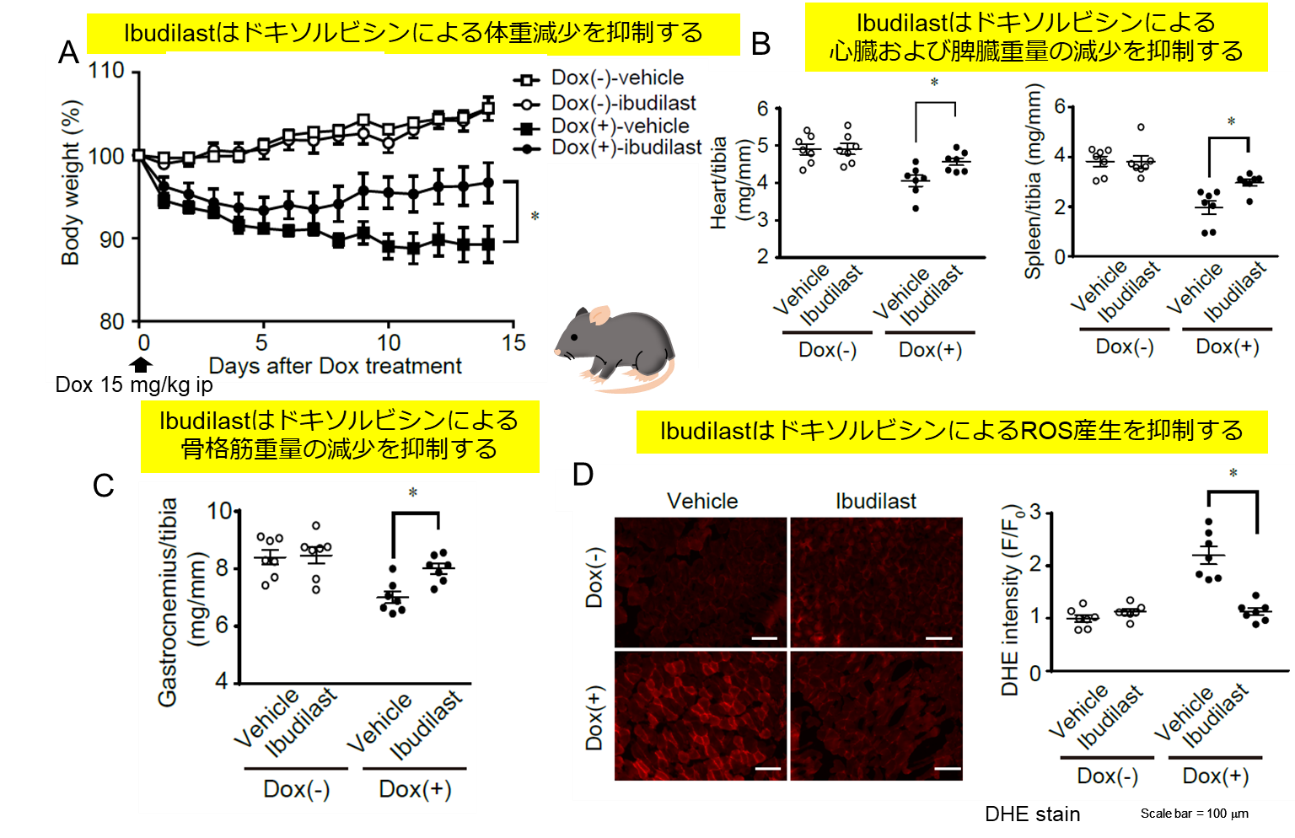 20190904nishida-2.png