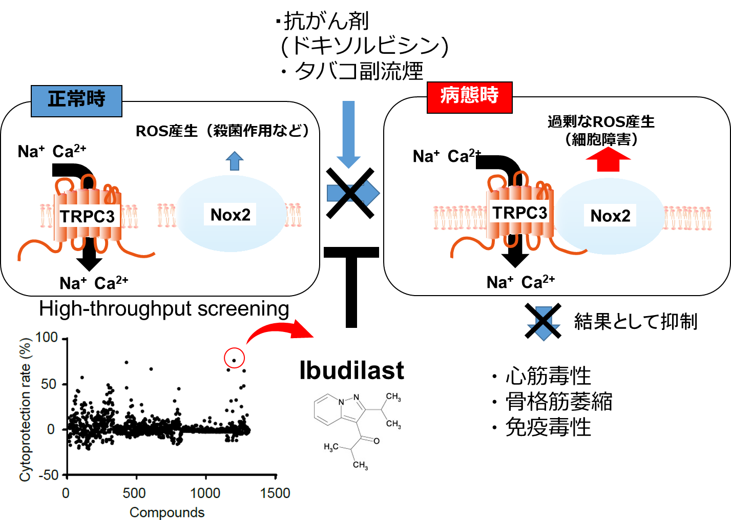 20190904nishida-3.png