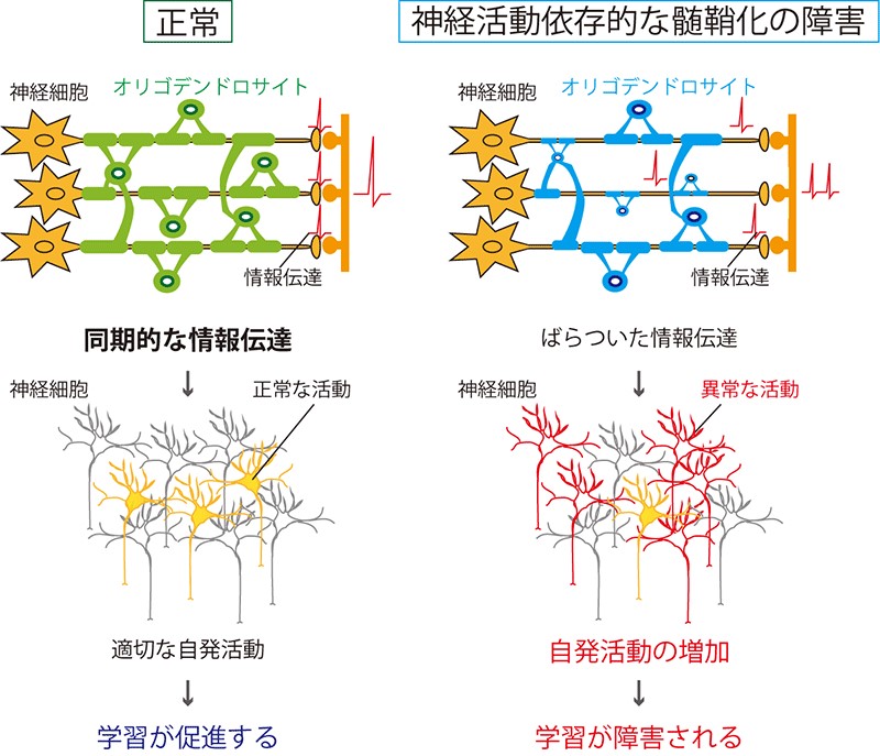 20190918nabekura-1.jpg