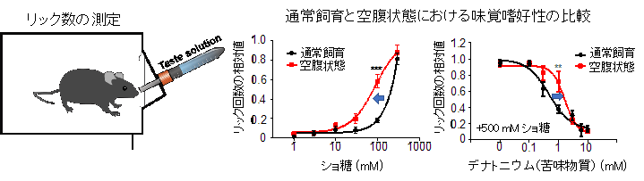 20191008nakajima-1.png