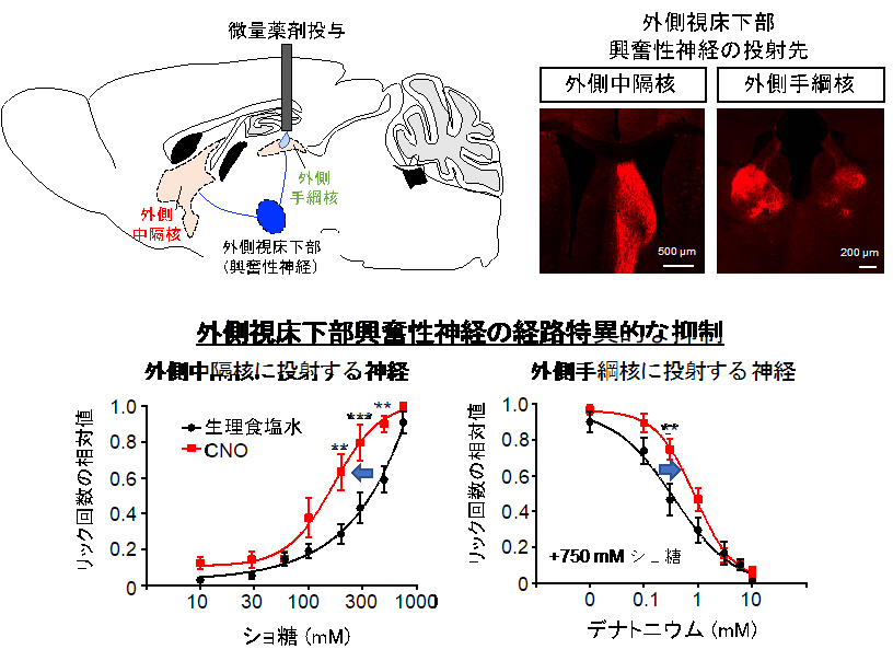 20191008nakajima-3.png