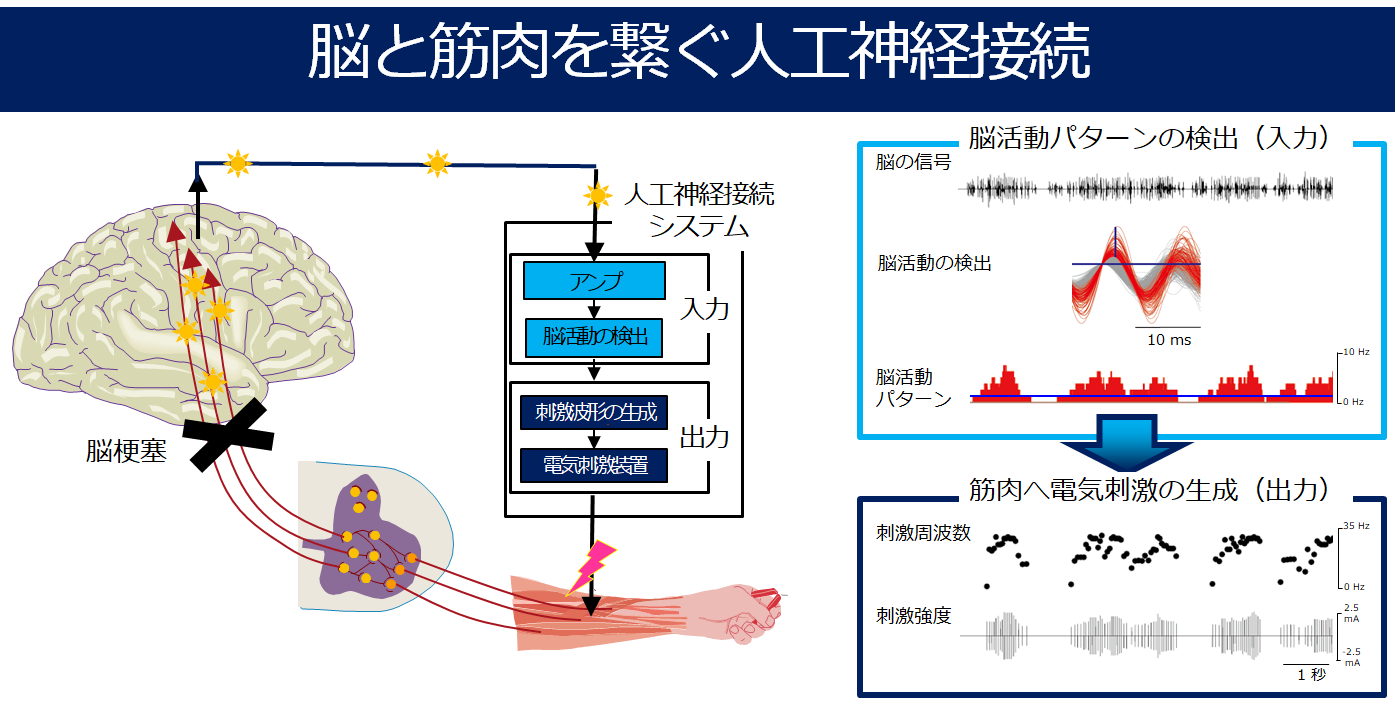 20191016nishimura-1.png