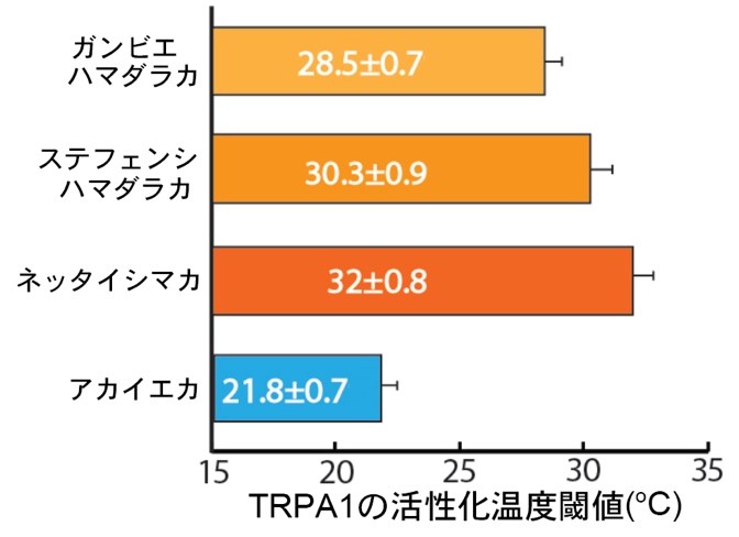 20200116tominaga-1.jpg