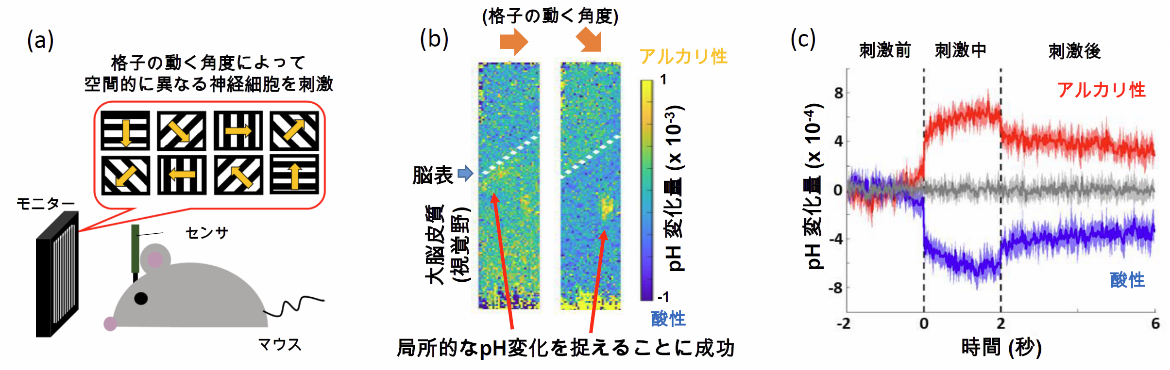 20200205nabekura-2.png