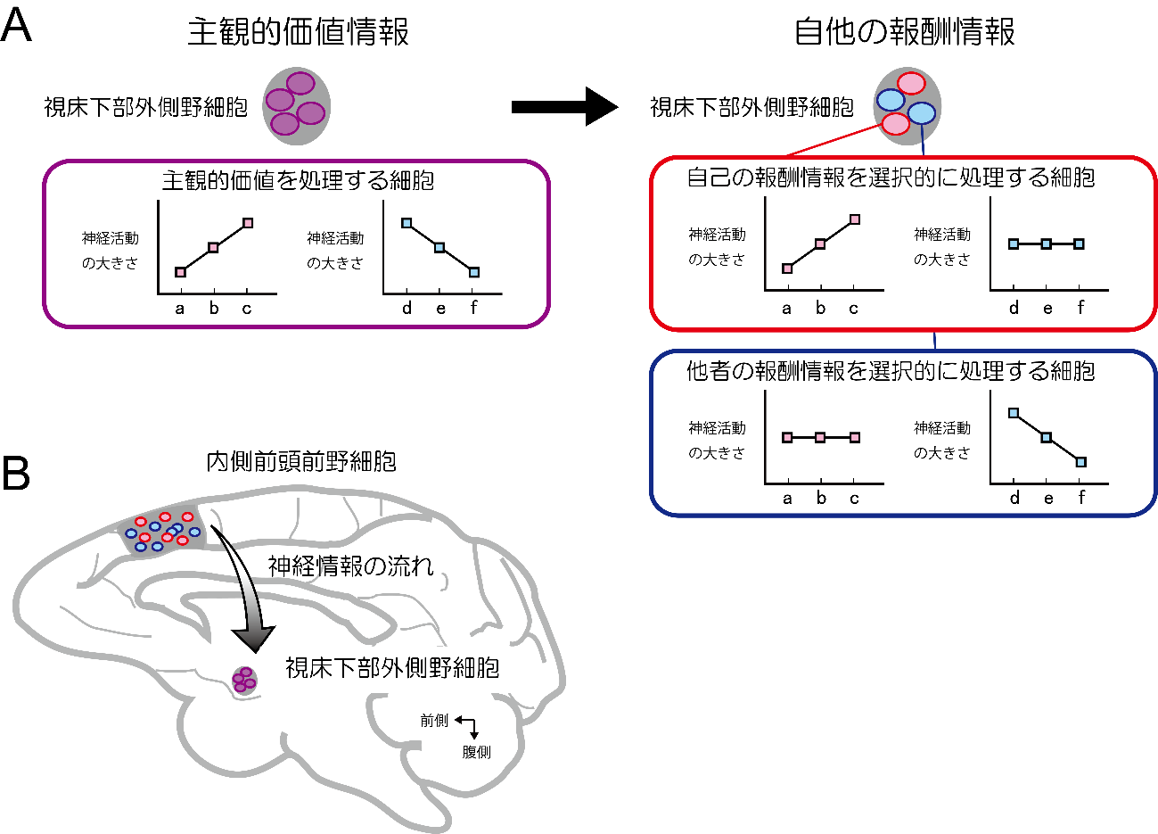 20200225isoda-2.png