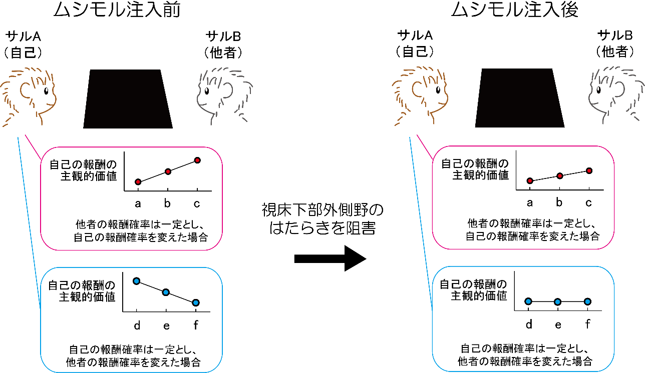 20200225isoda-3.png