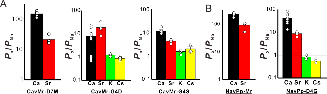 20200226shimomura-5.png