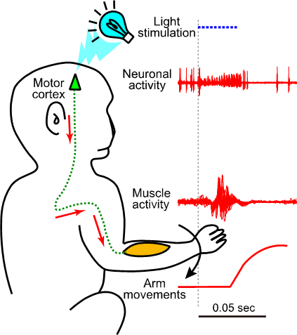 20200626nambu-1eng.png