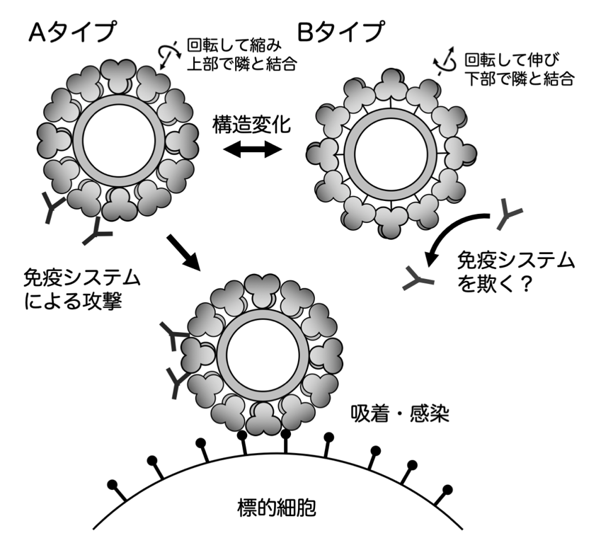 20200703murata-3.png