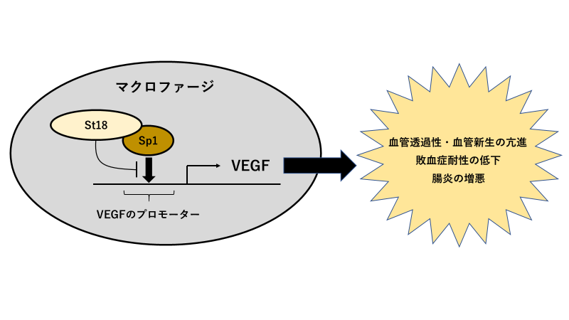 20200715maruyama-1.png