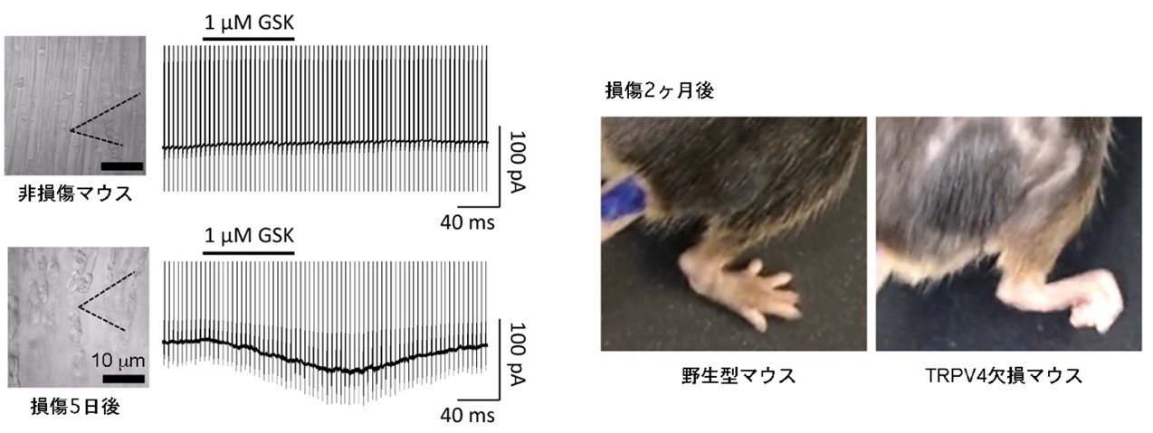 20201127tominaga-1.jpg