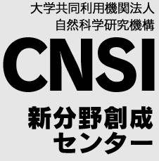 CNSI_logo.jpg