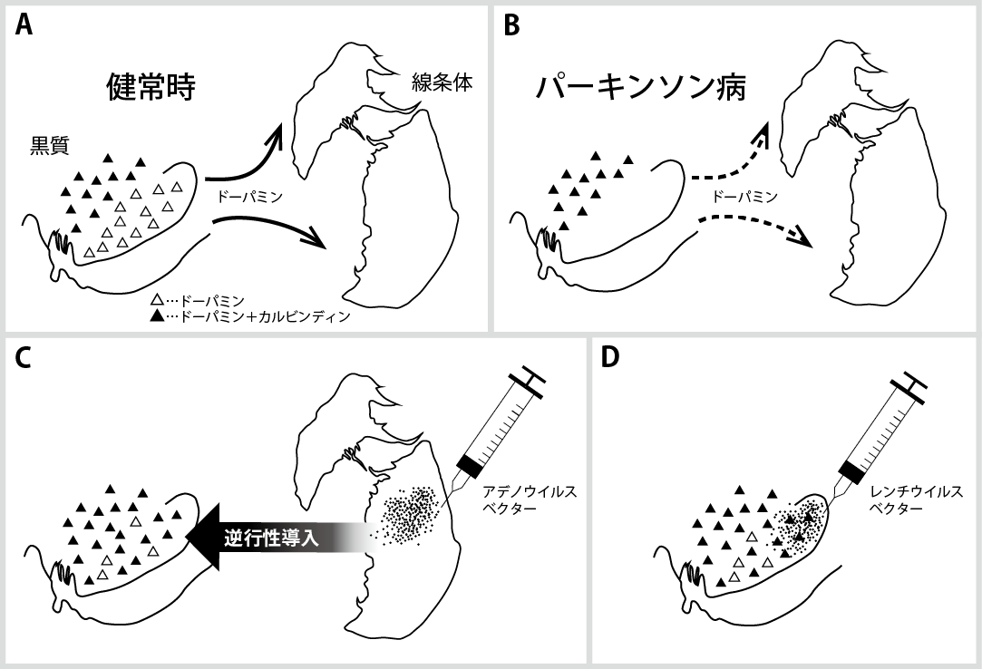 Press_takada-nanbu201808-1.png