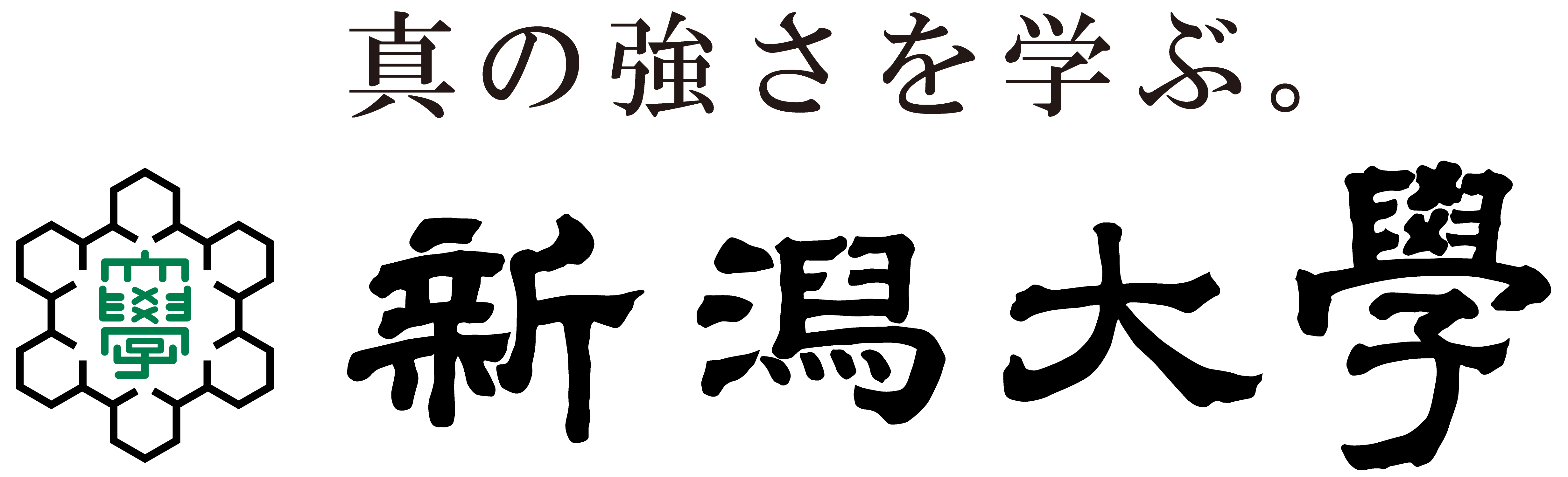 nigataUni2_logo.png