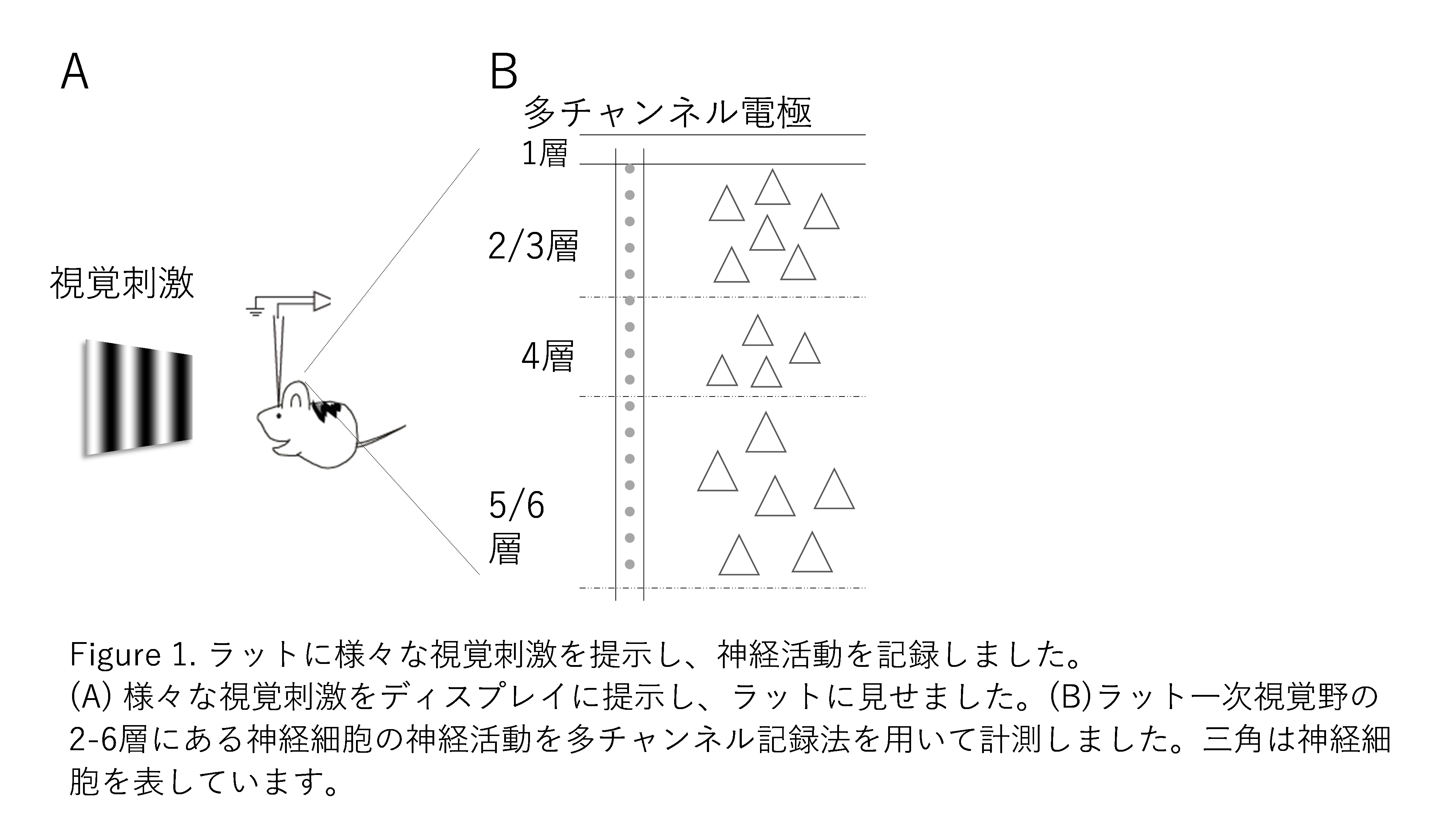 pressishikawa20180822-1.png