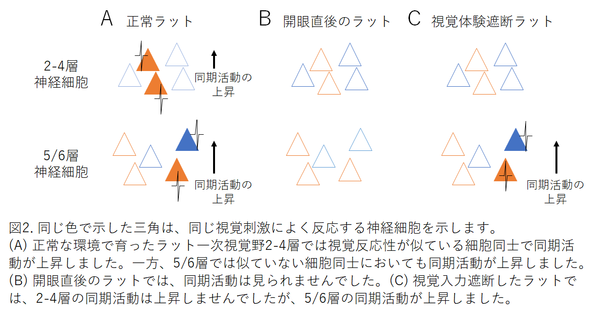 pressishikawa20180822-2.png