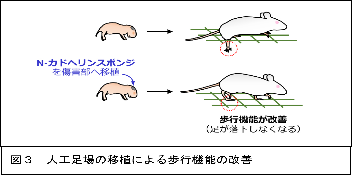 sawamoto20171215-3.jpg