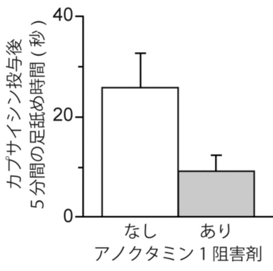 tominaga20150406_2.jpg