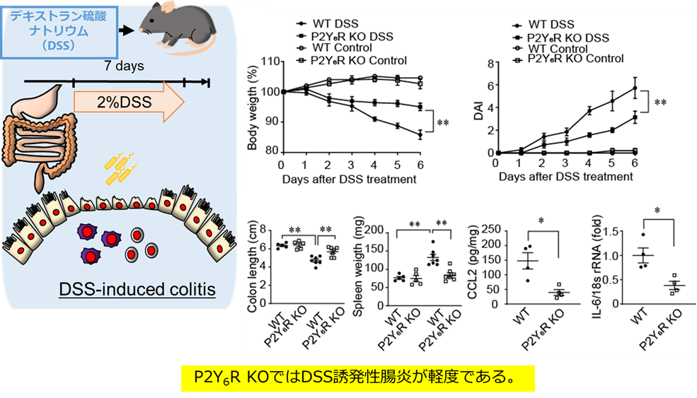 nishida20220112-1.png