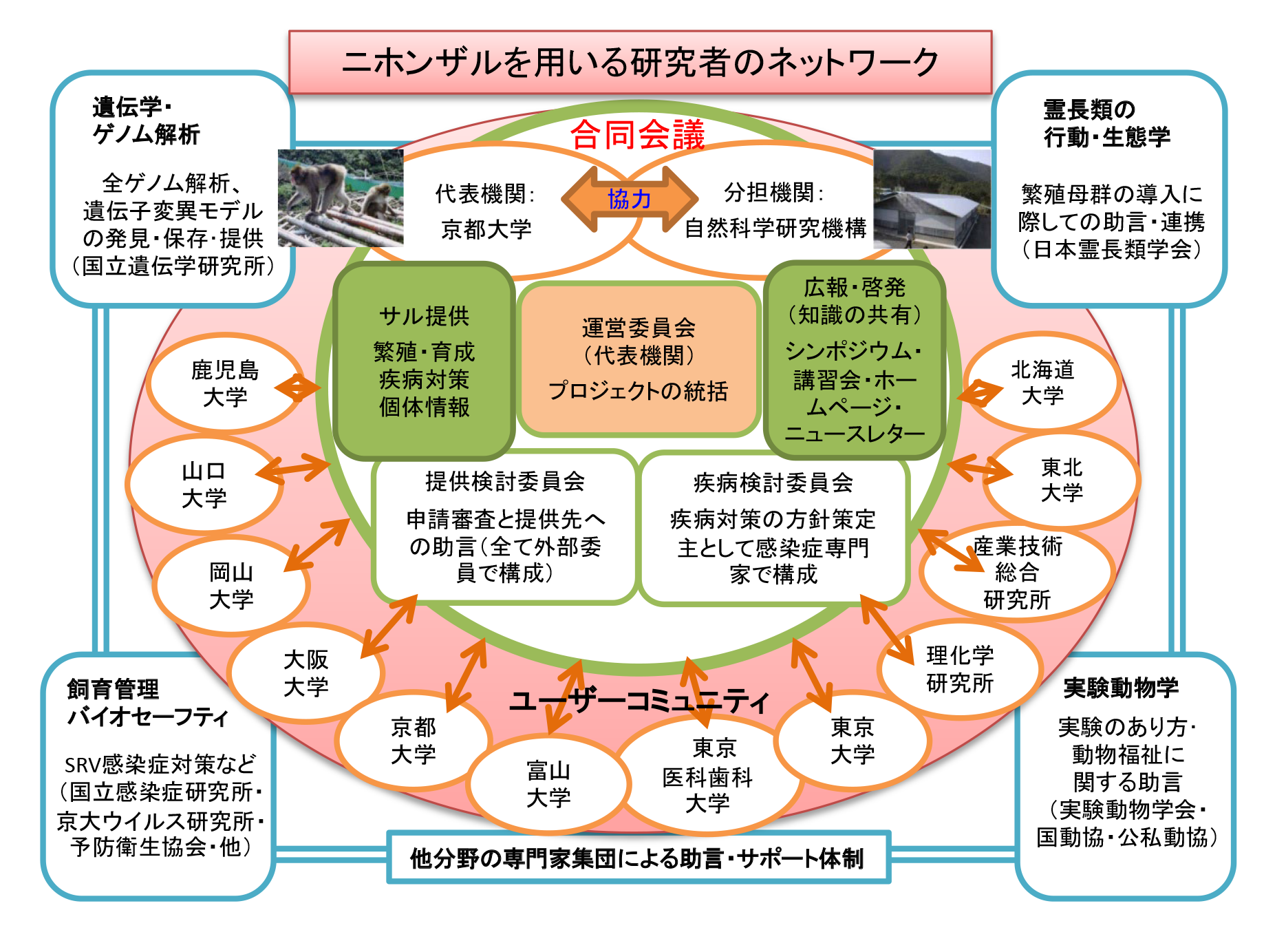 2025NBRjpn.png