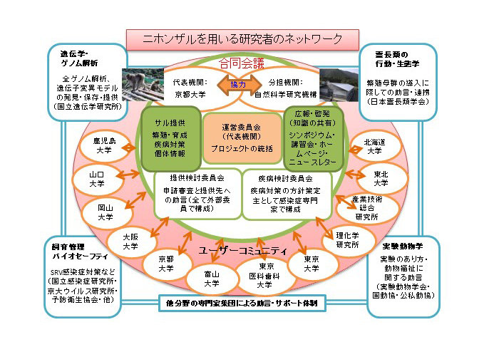 NBR2021_JPN.jpg