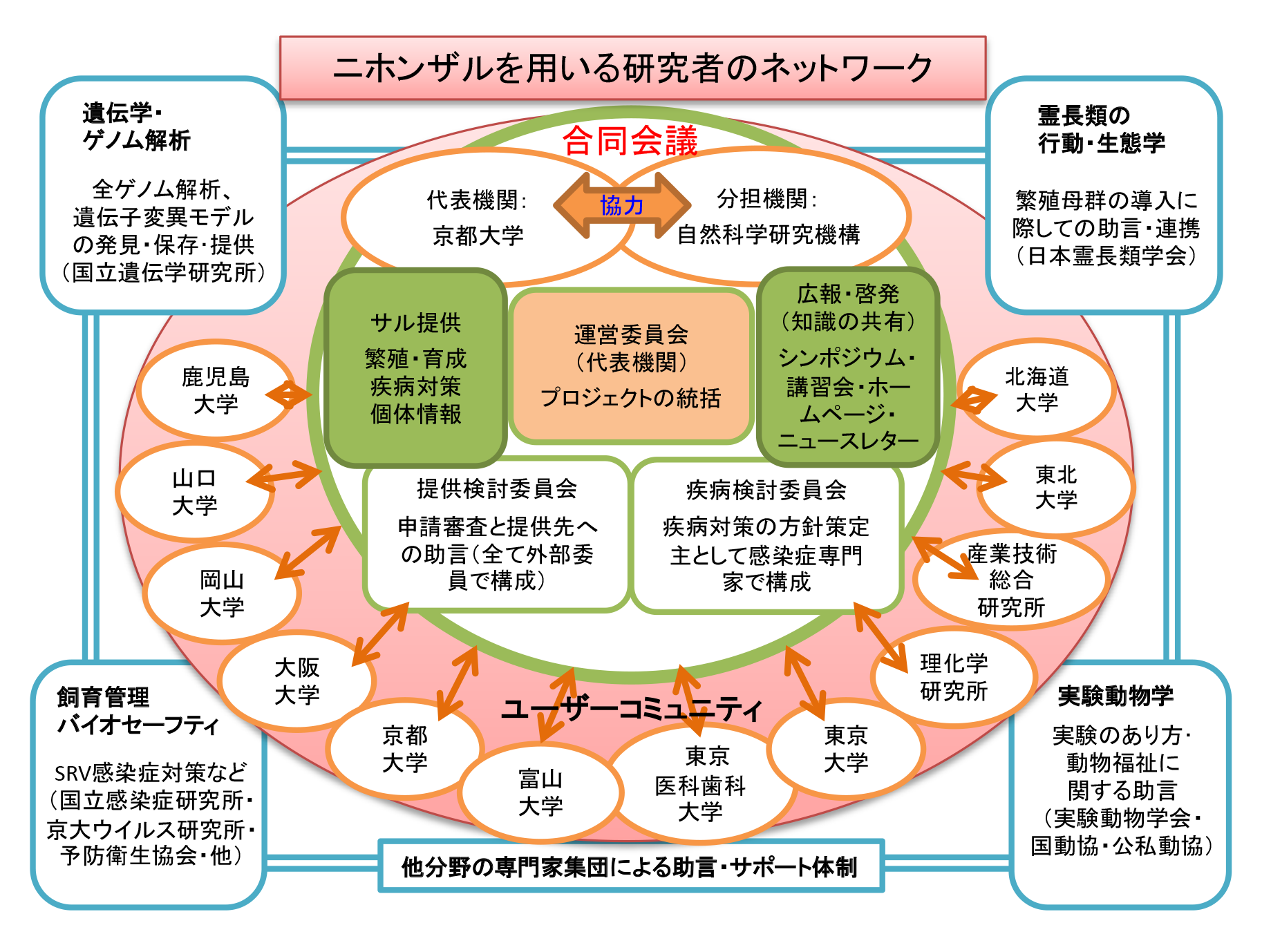 2025NBRjpn.png