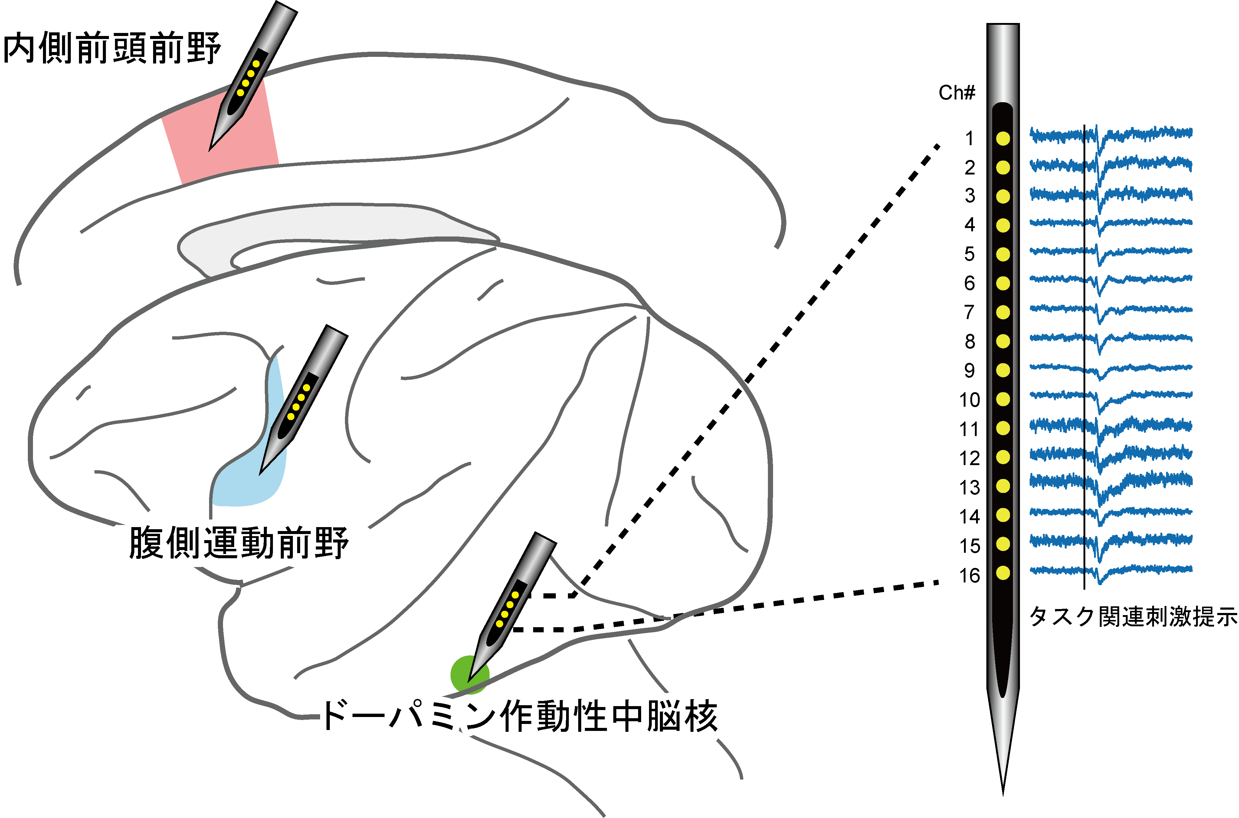 isoda2019_jpn.png