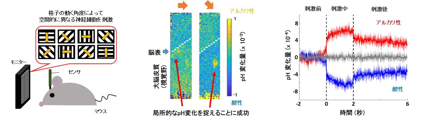 2022nabekura-1.jpg