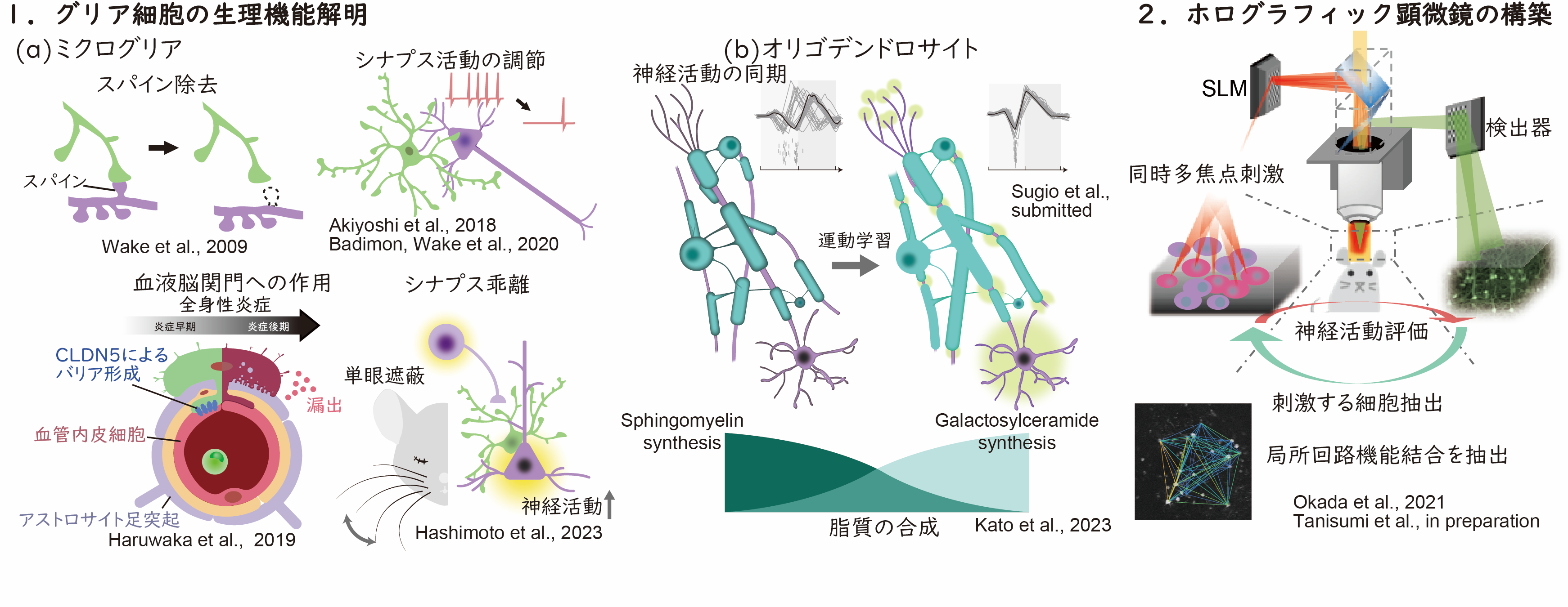 wakeLab_jpn2025.png
