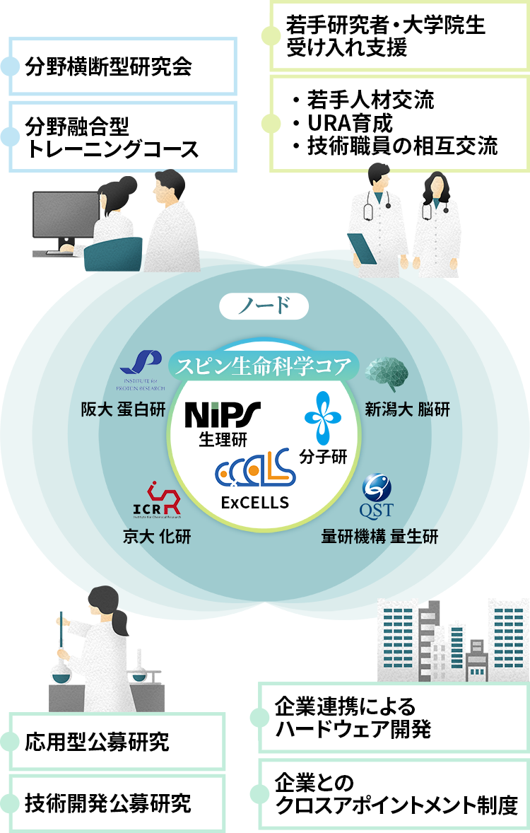 スピン生命科学コアを組織