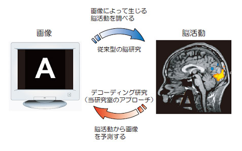図2: 従来型の脳研究と脳情報デコーディングの比較