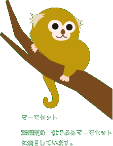 BMIについての補足説明