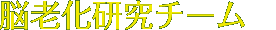 脳老化研究チーム