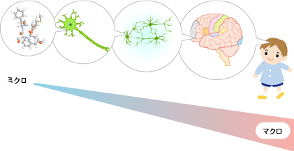 代表的な疾患