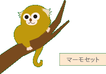マーモセット