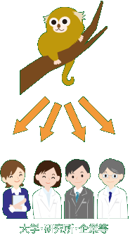 大学・研究所・企業等