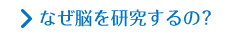 なぜ脳の研究をするの？