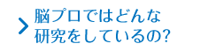 脳プロではどんな研究をしているの？