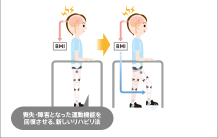 脳プロで行っている研究の一例