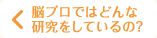 脳プロではどんな研究をしているの？