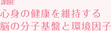 課題E 心身の健康を維持する脳の分子基盤と環境因子