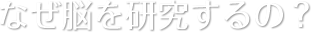 なぜ脳を研究するの？