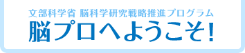 脳プロへようこそ！文部科学省脳科学研究戦略推進プログラム