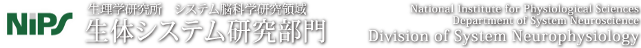 生理学研究所　総合生理研究系　生体システム研究部門